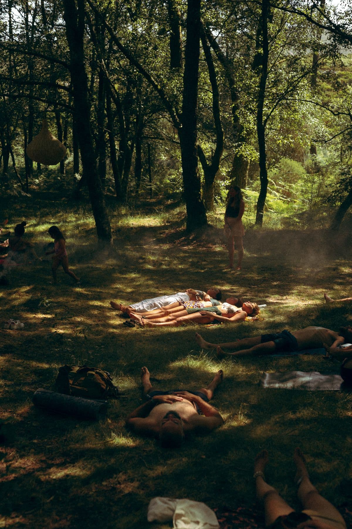 Group breathwork in a forest